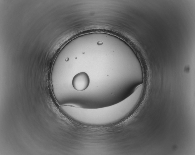 X0000116350977200912221458