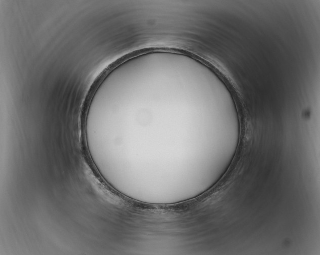 X0000116350980200912221458