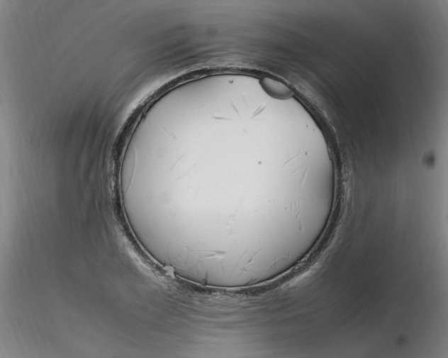 X0000116350981200912221458