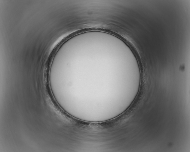 X0000116350983200912221458