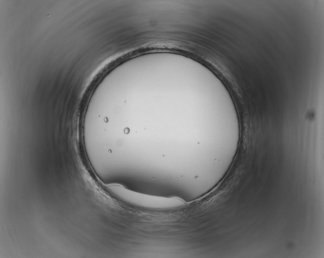 X0000116350984200912221458