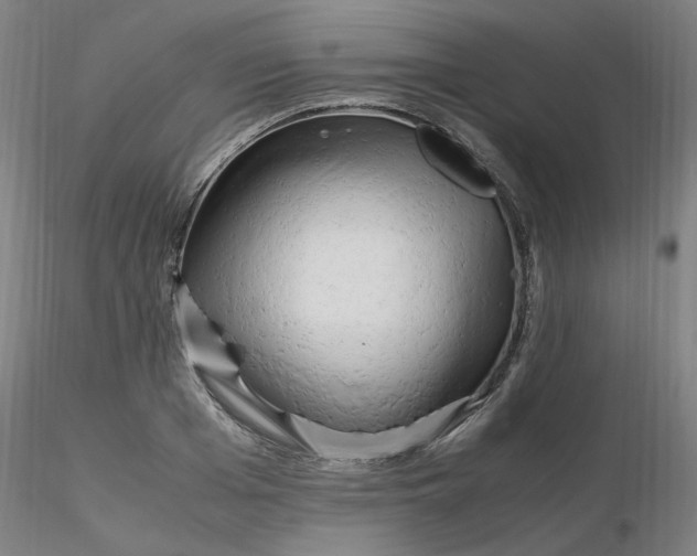 X0000116350985200912221458