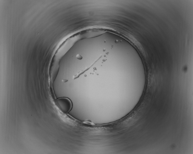 X0000116350988200912221458