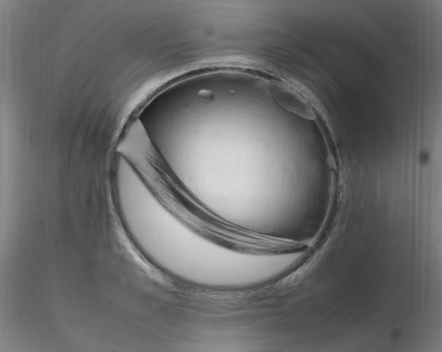 X0000116350989200912221458