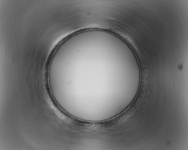 X0000116350991200912221458