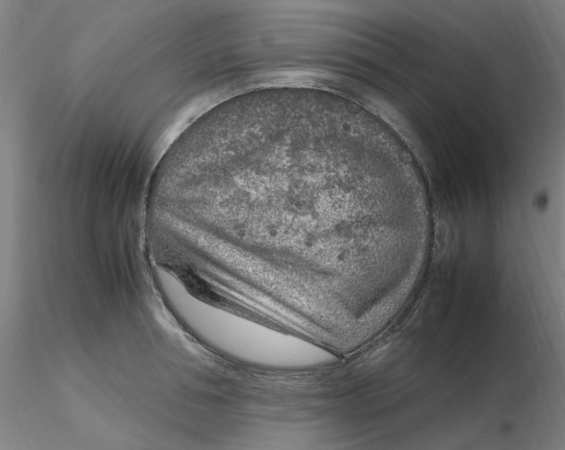 X0000116350994200912221458