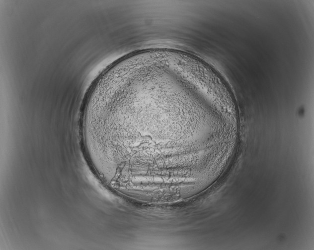 X0000116350995200912221458