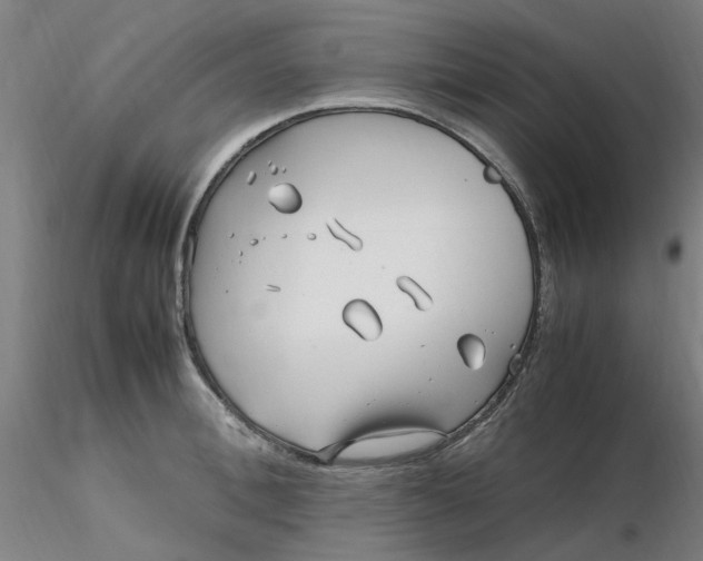 X0000116350996200912221458