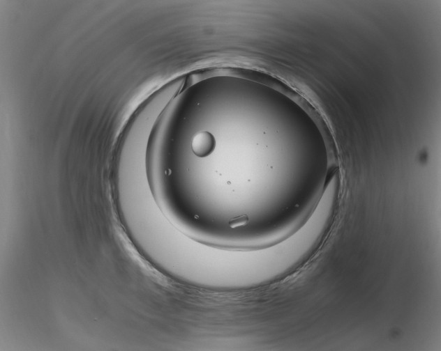 X0000116350997200912221458