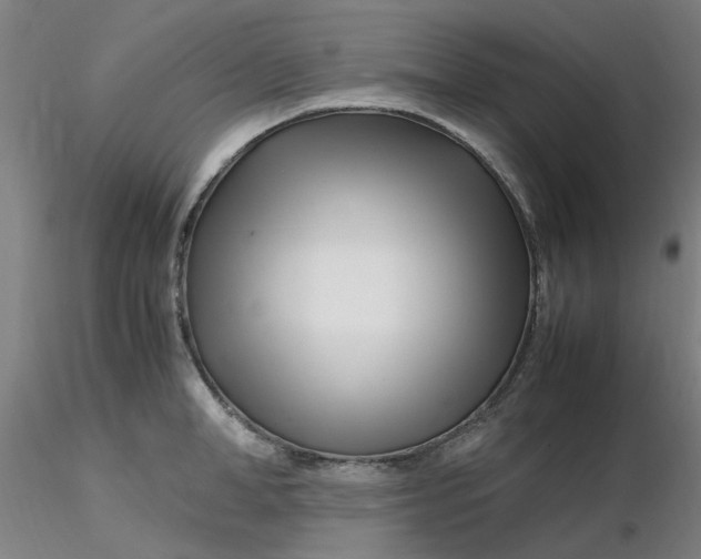 X0000116350998200912221458