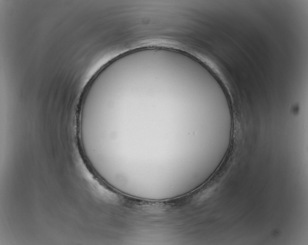 X0000116350999200912221458