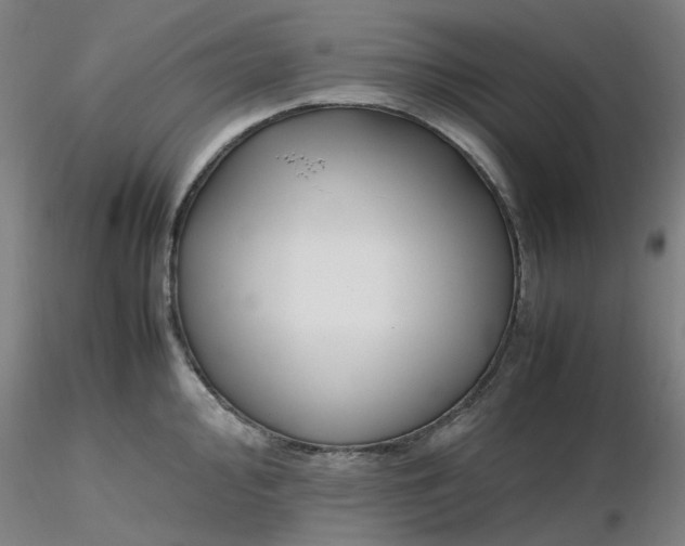 X0000116351000200912221458