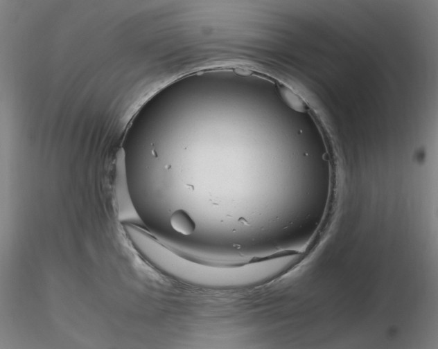 X0000116351001200912221458