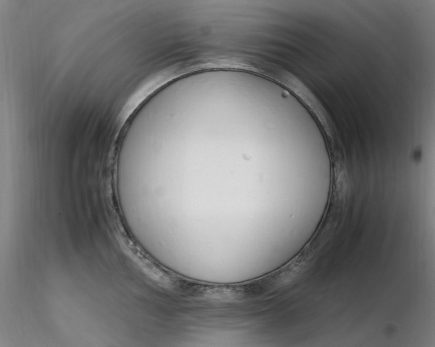 X0000116351002200912221458