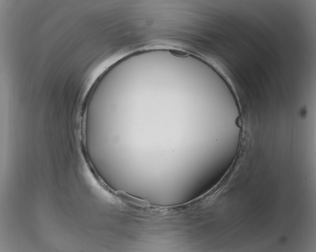 X0000116351003200912221458