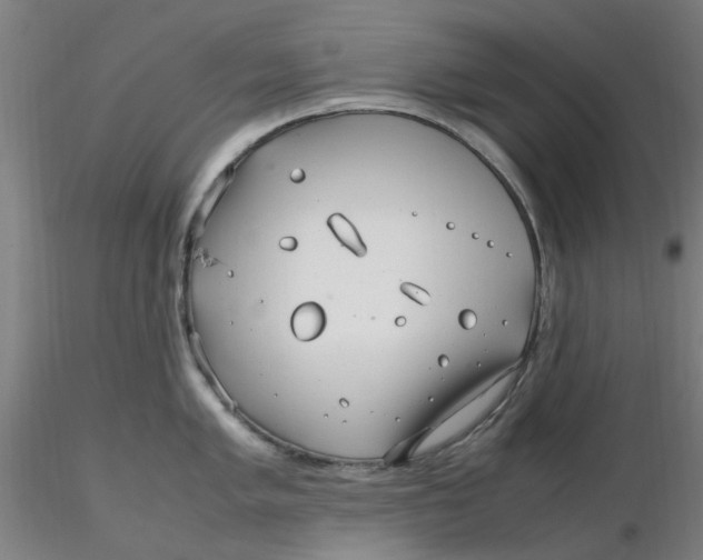 X0000116351005200912221458