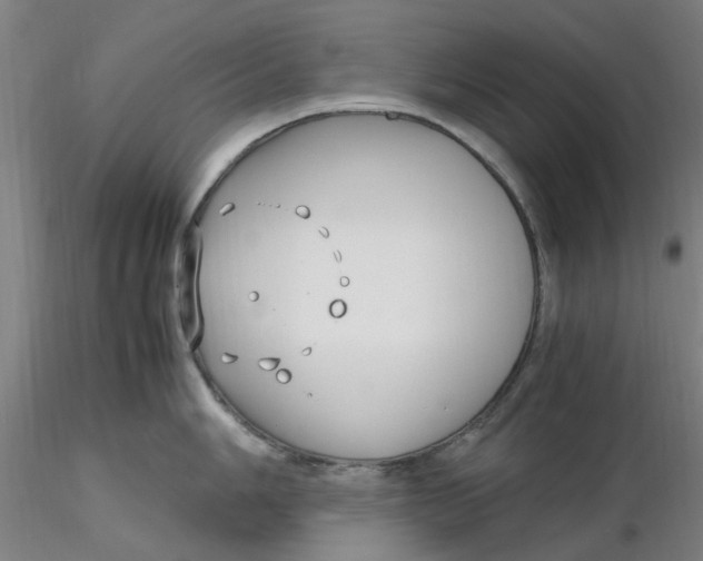 X0000116351006200912221458