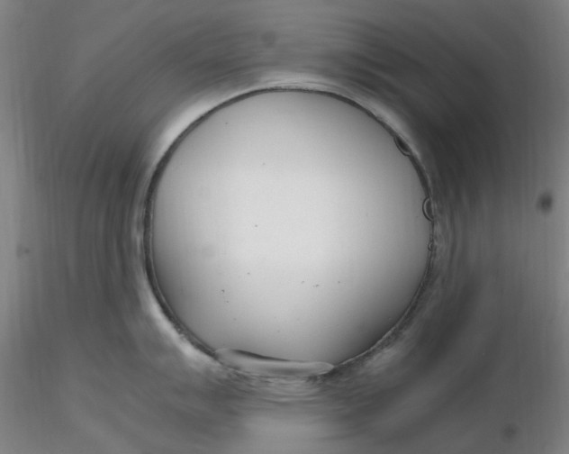 X0000116351007200912221458