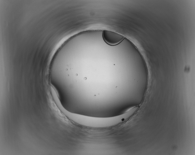 X0000116351008200912221458