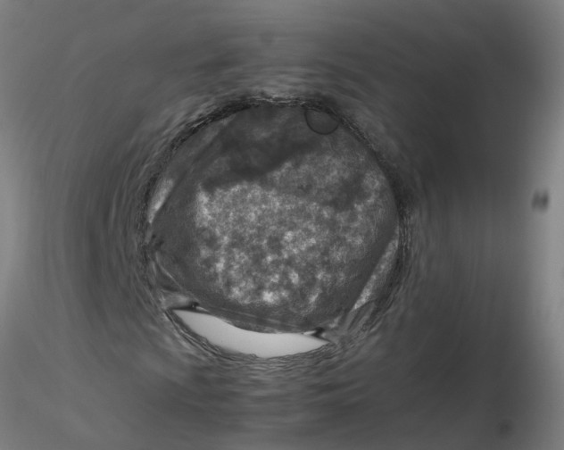 X0000116351009200912221457