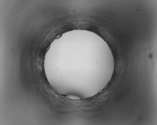 X0000116351010200912221457