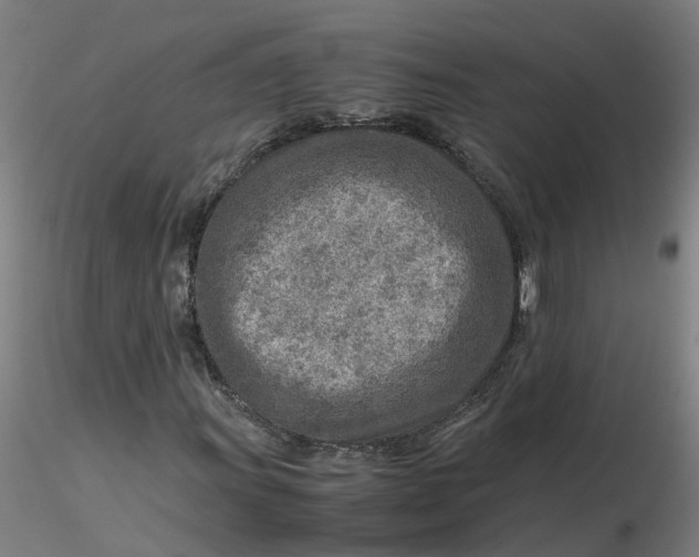 X0000116351011200912221457