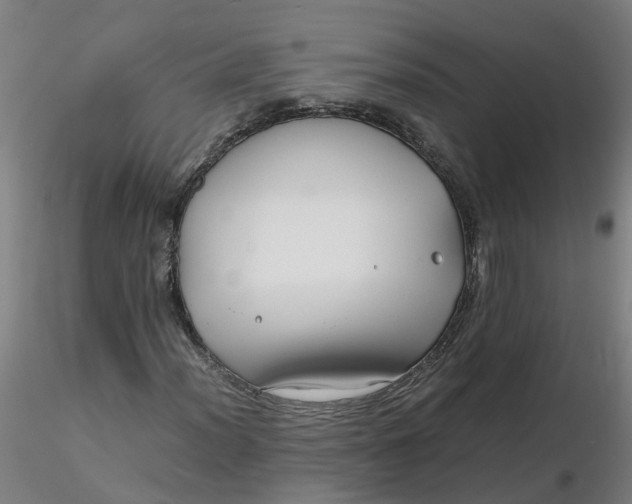 X0000116351012200912221457