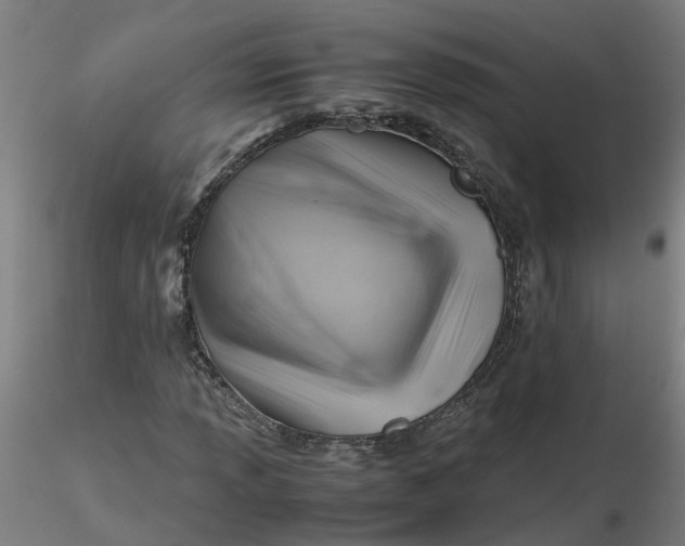 X0000116351013200912221457