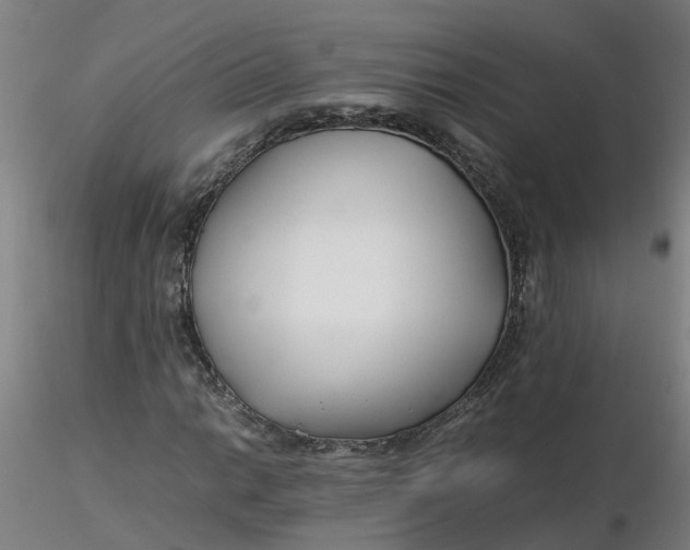 X0000116351014200912221457