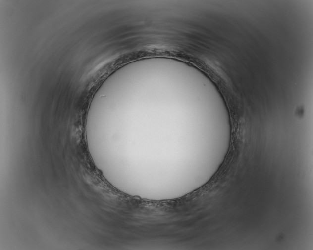 X0000116351015200912221457