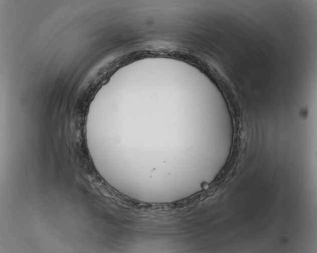 X0000116351016200912221457