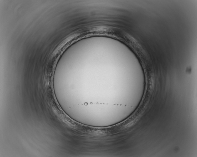 X0000116351017200912221457