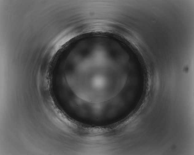 X0000116351018200912221457