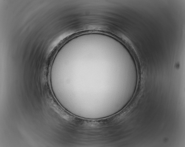 X0000116351019200912221457