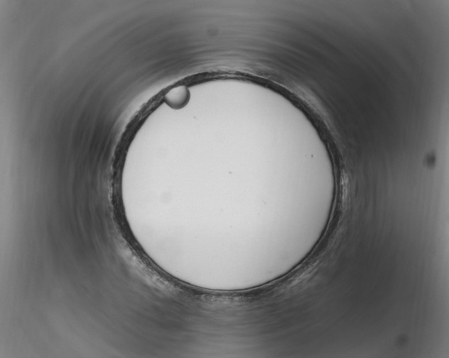 X0000116351020200912221457