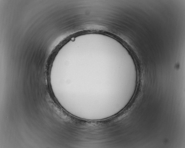 X0000116351022200912221457