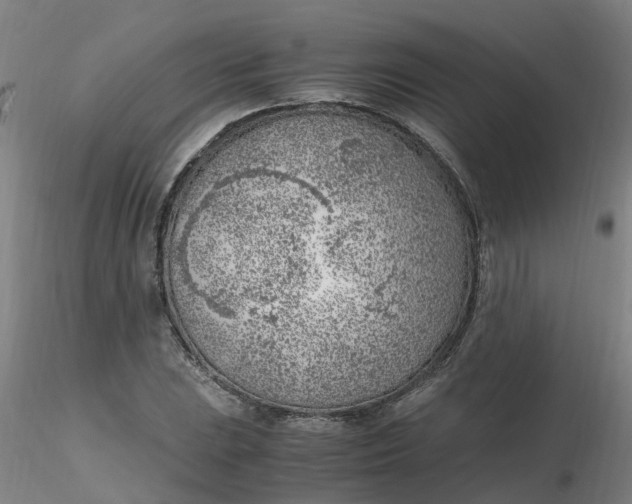 X0000116351023200912221457