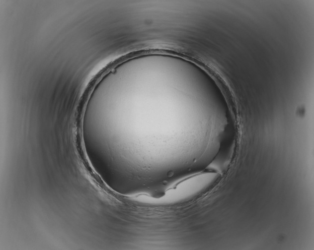 X0000116351024200912221457