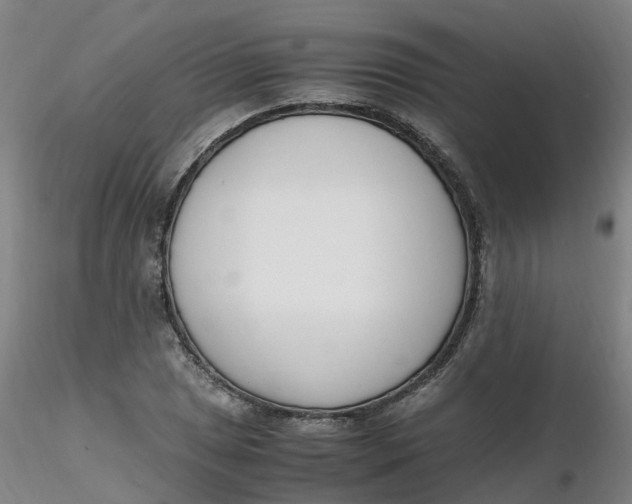 X0000116351025200912221457