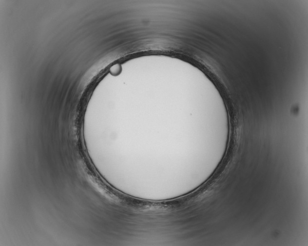 X0000116351026200912221457