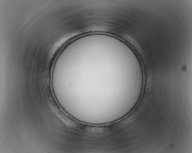 X0000116351027200912221457