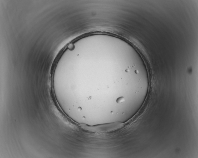 X0000116351028200912221457