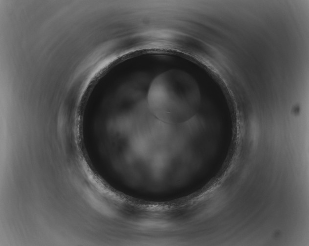 X0000116351029200912221457