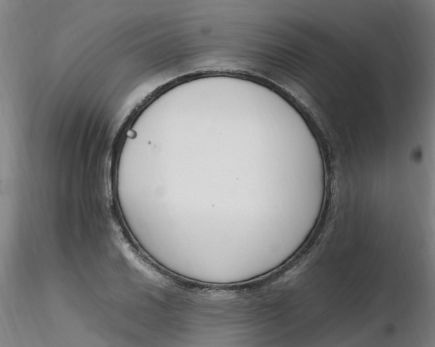 X0000116351030200912221457