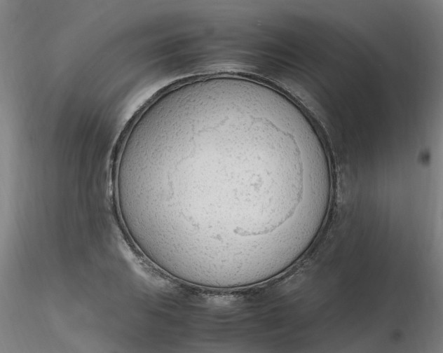 X0000116351031200912221457