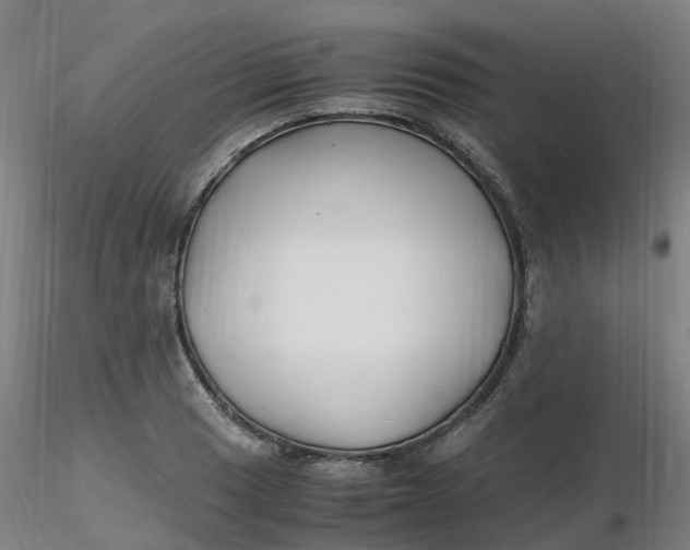 X0000116351033200912221457