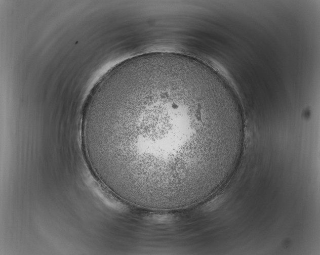 X0000116351035200912221457