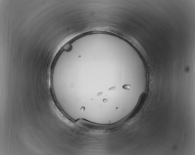 X0000116351036200912221458