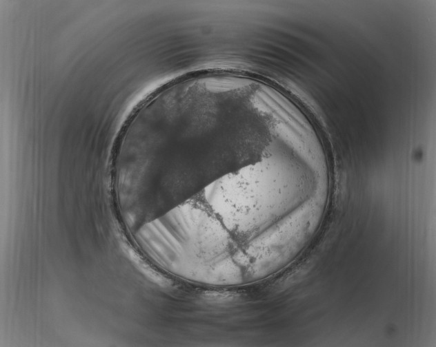 X0000116351037200912221458