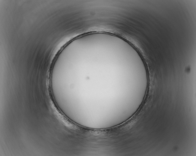 X0000116351040200912221458